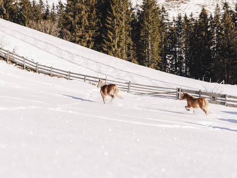 Aktivhotel in Tirol: Traumhotel Alpina